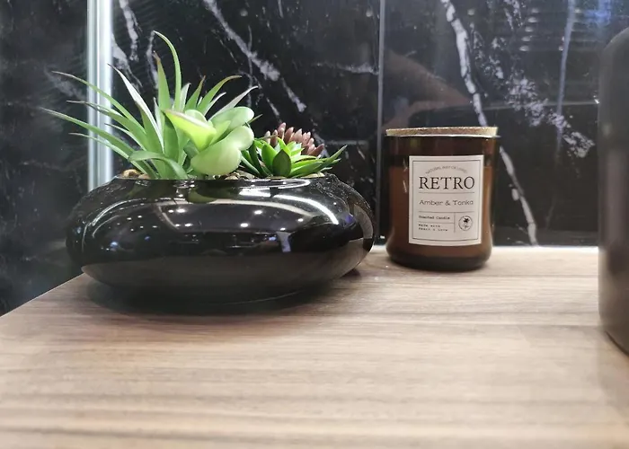 Casa Palmera Novi Sad